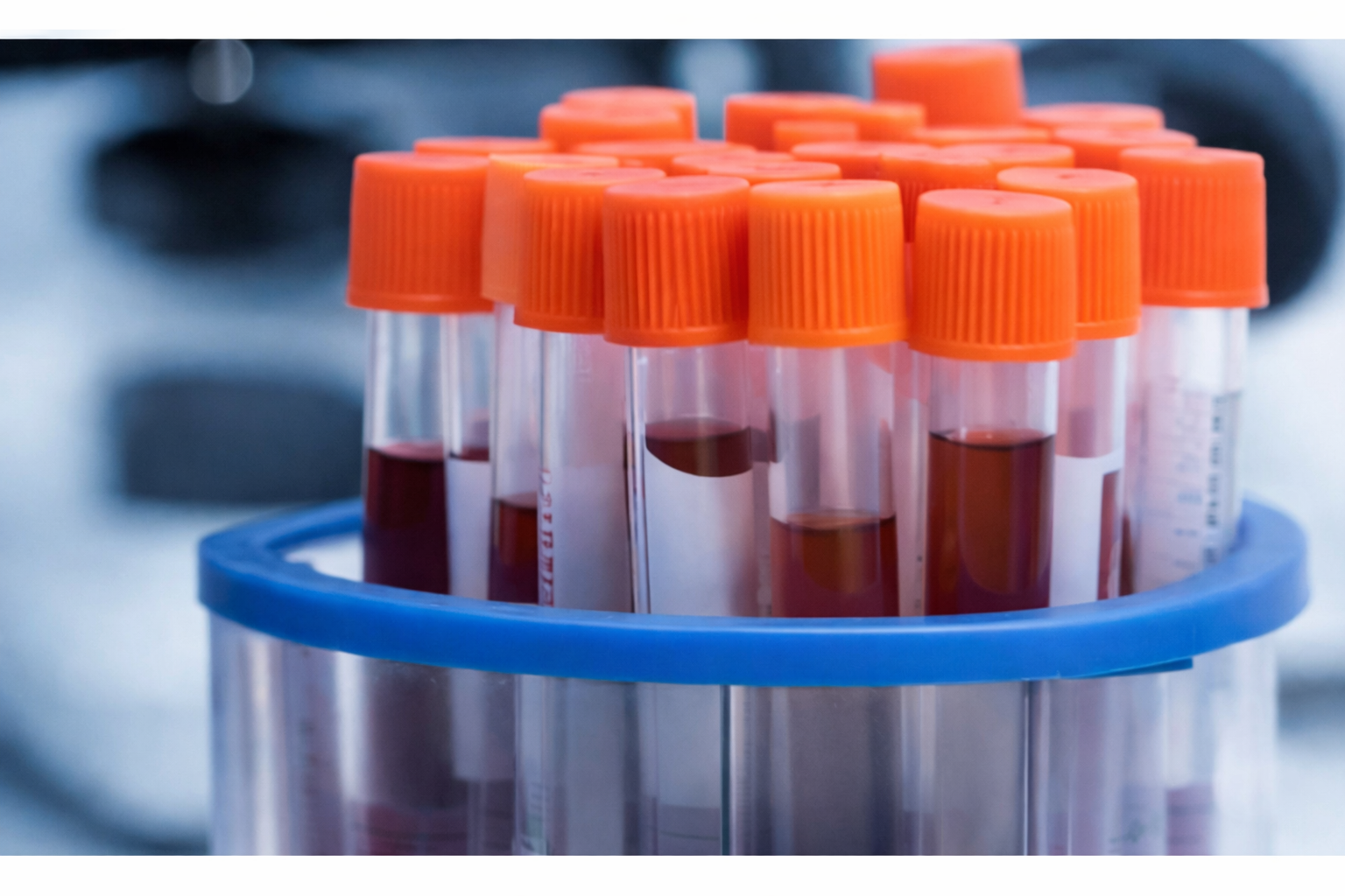 臨床・研究検体